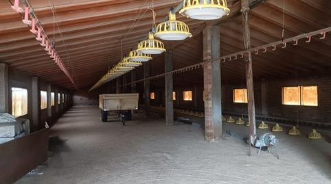 Photo 3 of Industrial buildings for sale in C-44, 3, Tivissa, Tarragona