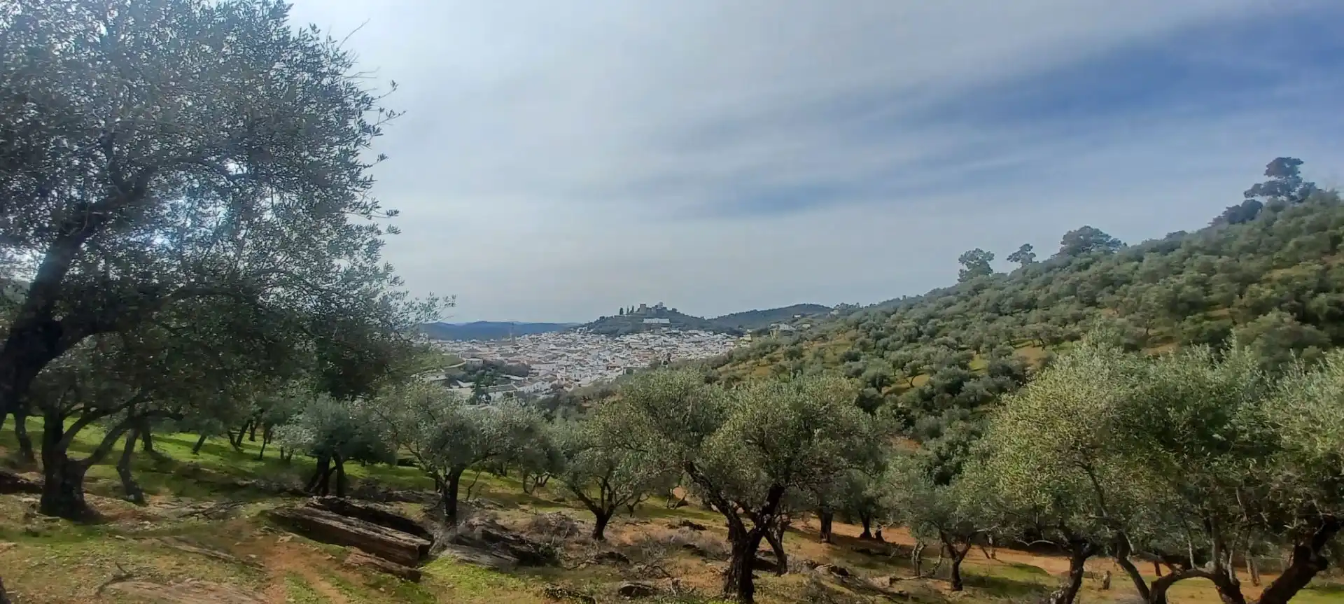 Terreni e lotti in vendita a Constantina, imagen 8