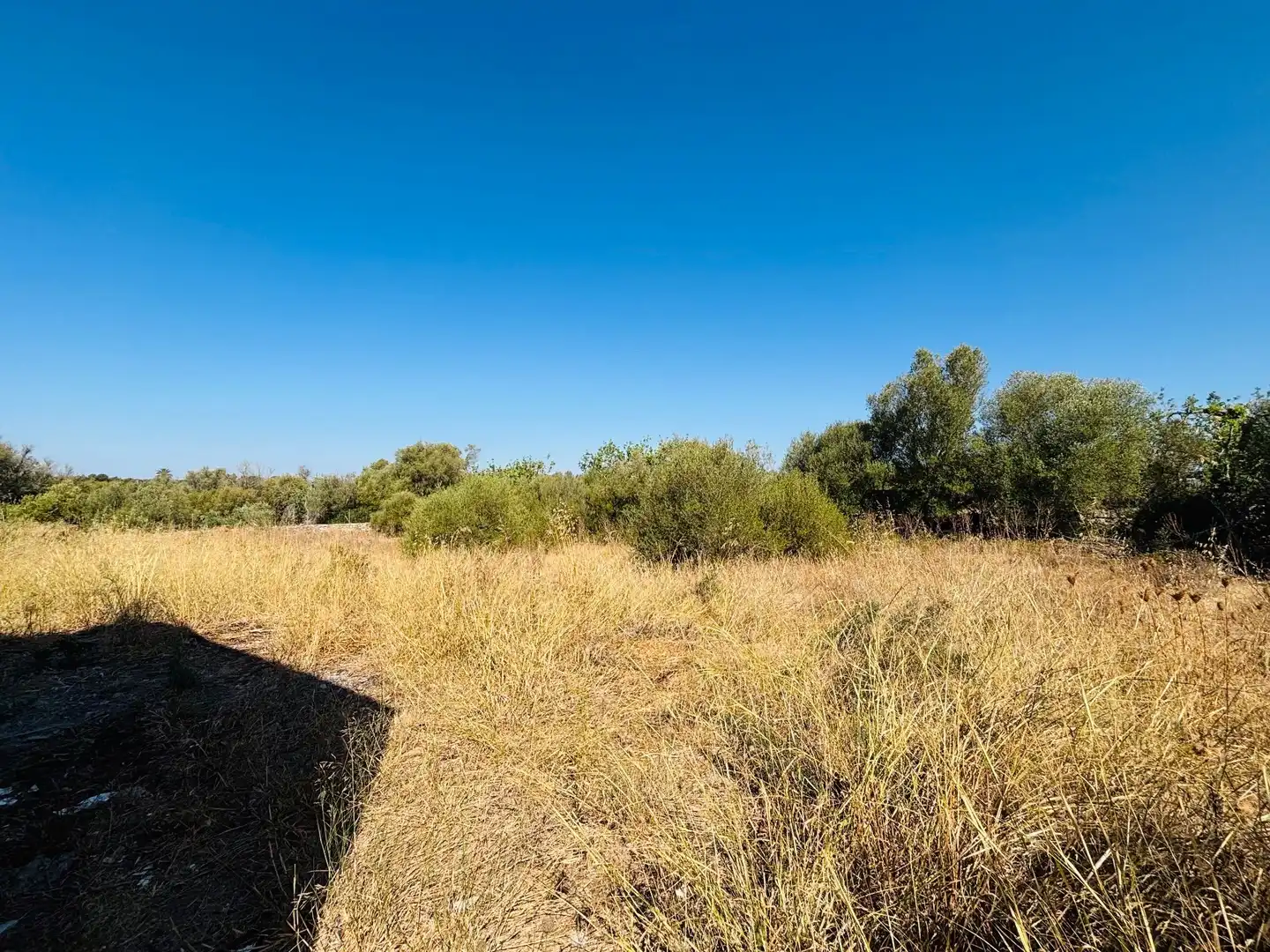 Finca rústica en venda a Felanitx Poble