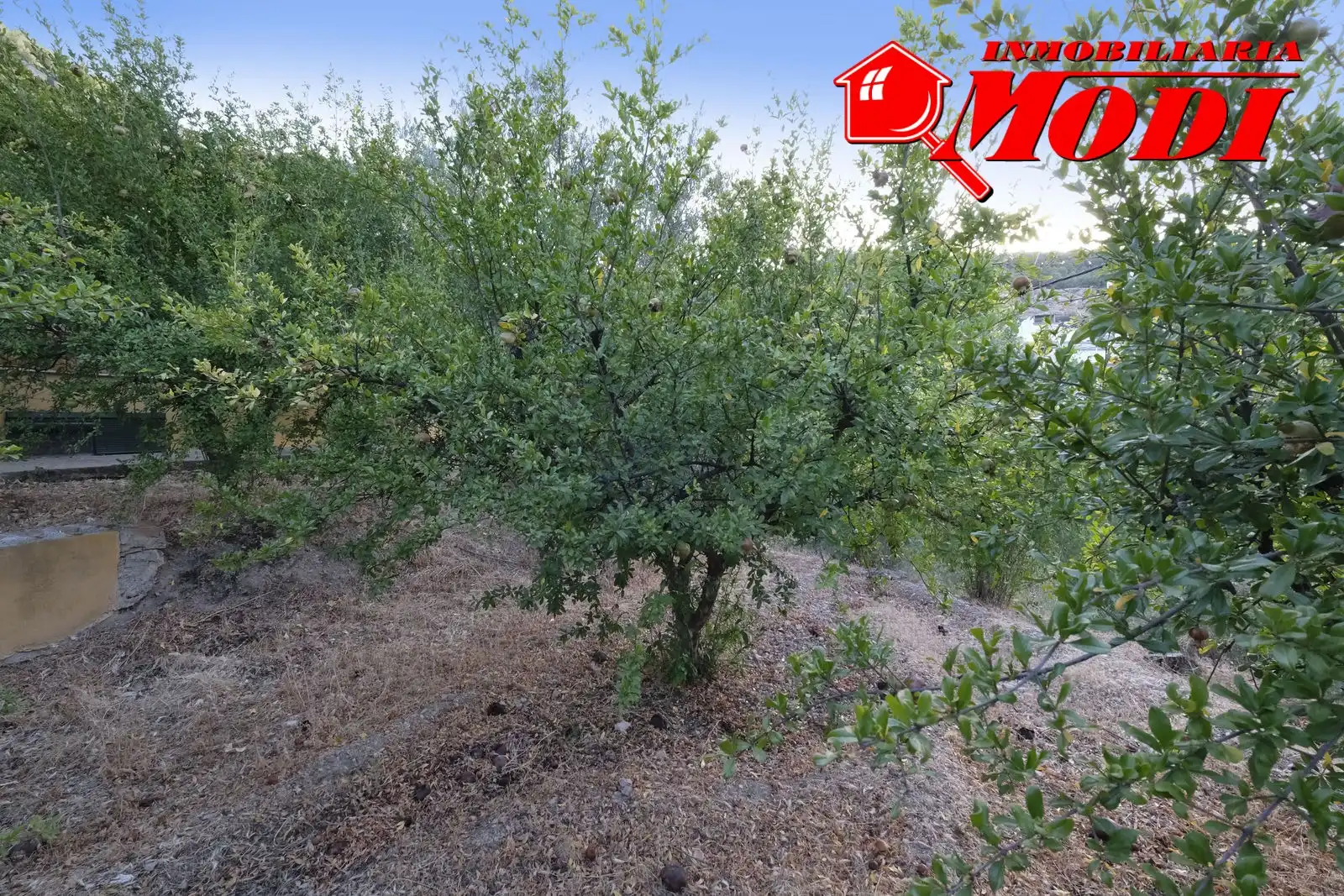 Finca rústica en venta en Villamena con Jardín privado y Terraza