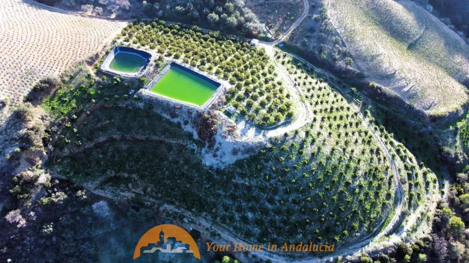 Casa rústica en venda a PARAJE CRUDO ITRABO, imagen 6