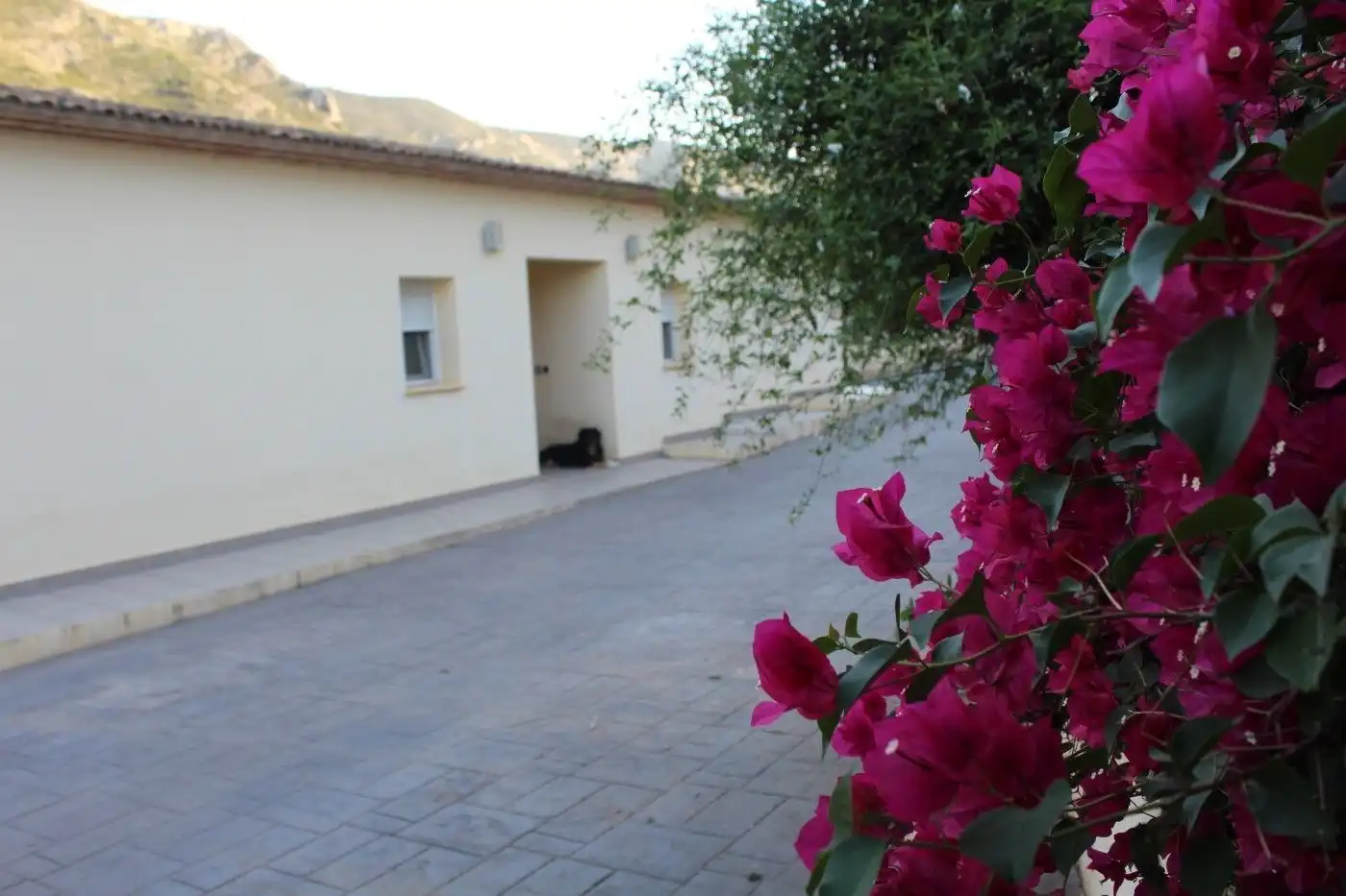 Villa mit Pool zum Verkauf in Carrer Riu Girona 46, imagen 2