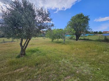 Terrenos y solares en venta en Jilguero