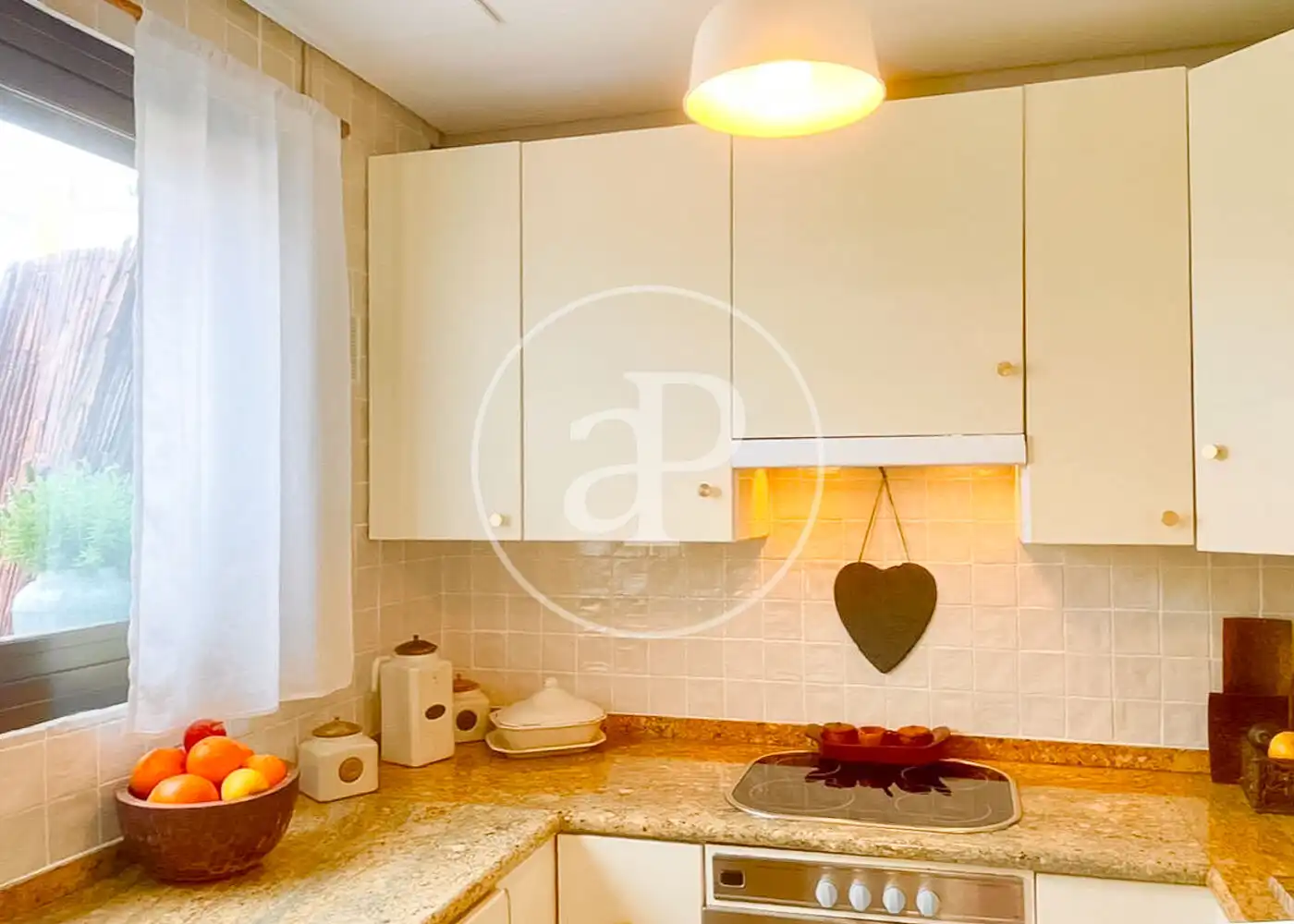 Cocina de Ático de alquiler en Madrid con Aire acondicionado, Calefacción y Jardín privado