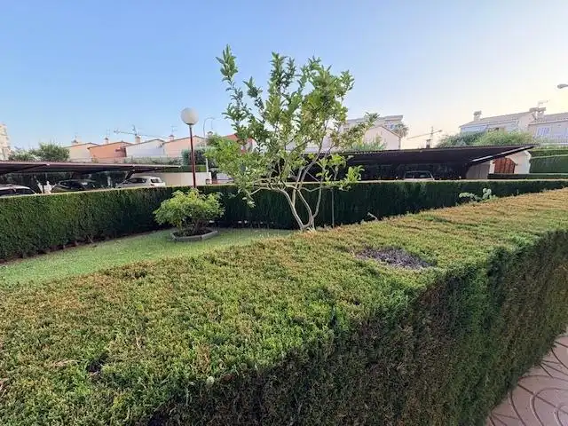 Garten von Wohnungen zur Miete in Benicasim / Benicàssim mit Privatgarten, Terrasse und Gemeinschaftspool