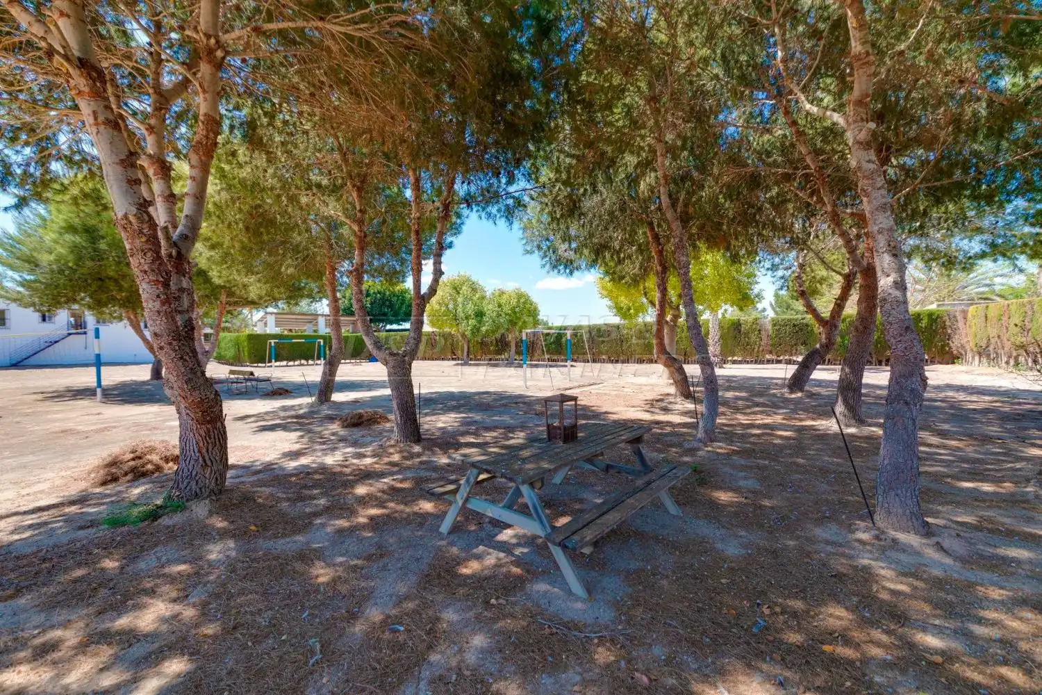 Villa con giardino in vendita a Algorfa, imagen 60