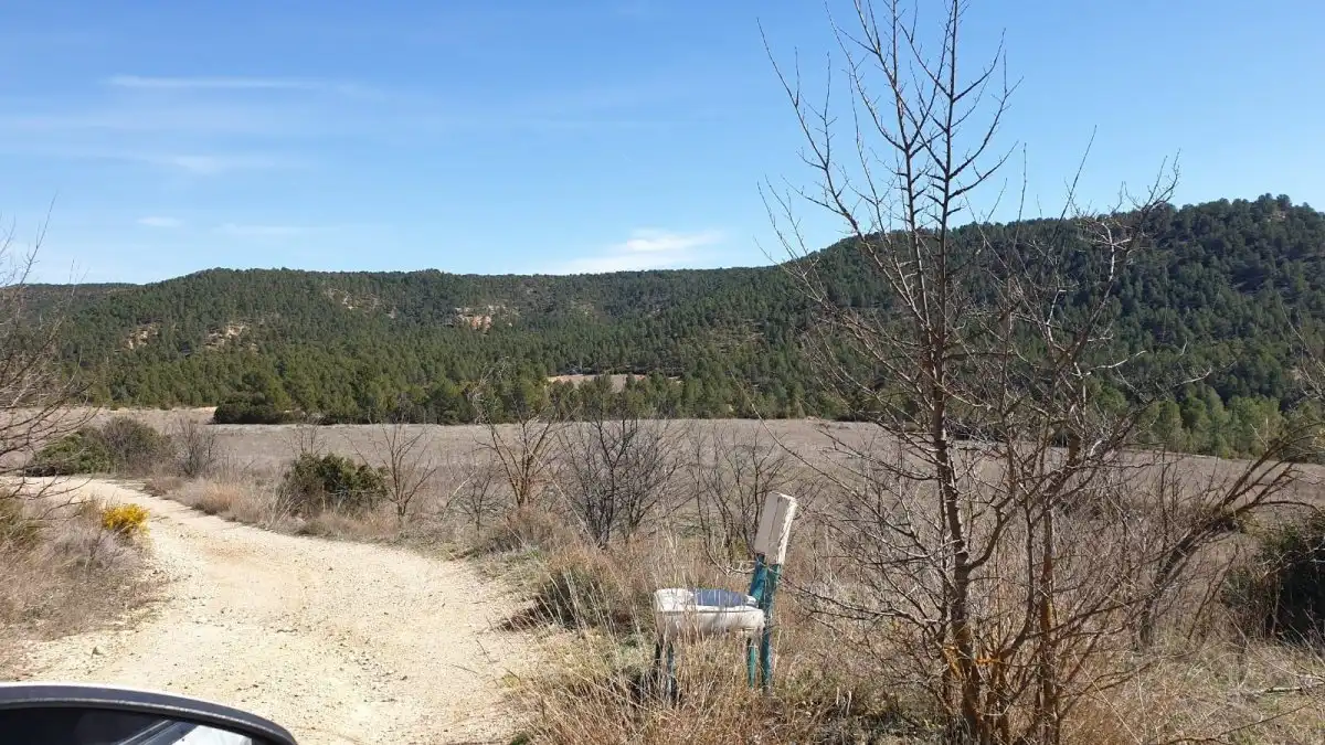 Terrain résidentiel à vendre à Requena, imagen 14
