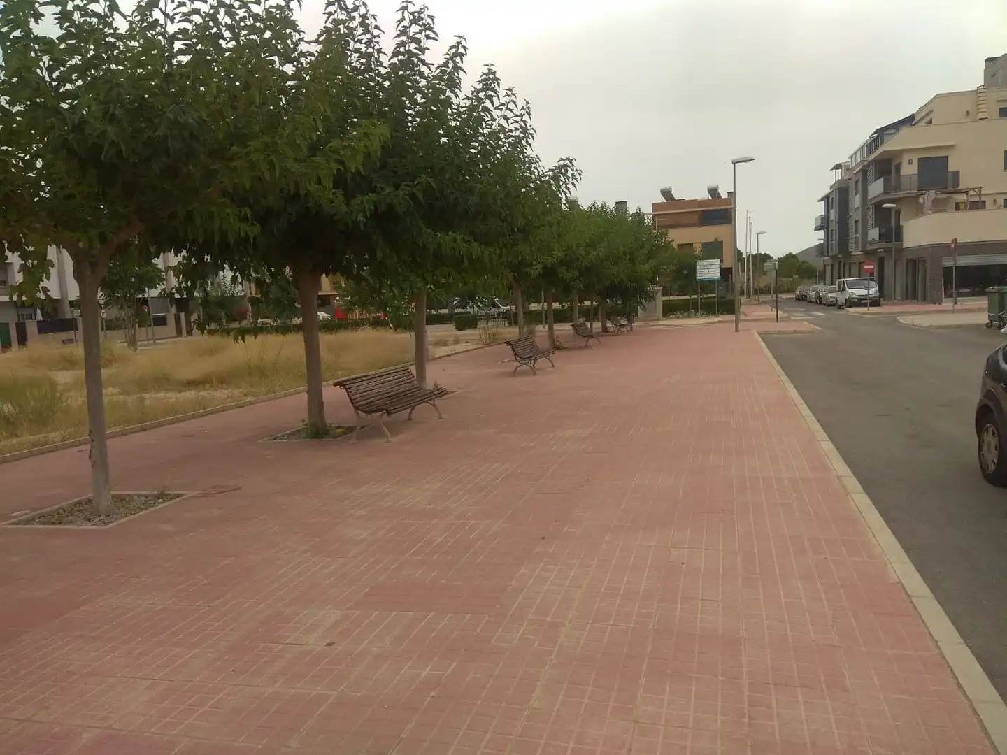 Terreny rústic en venda a CL EL CAMPELLO, imagen 18