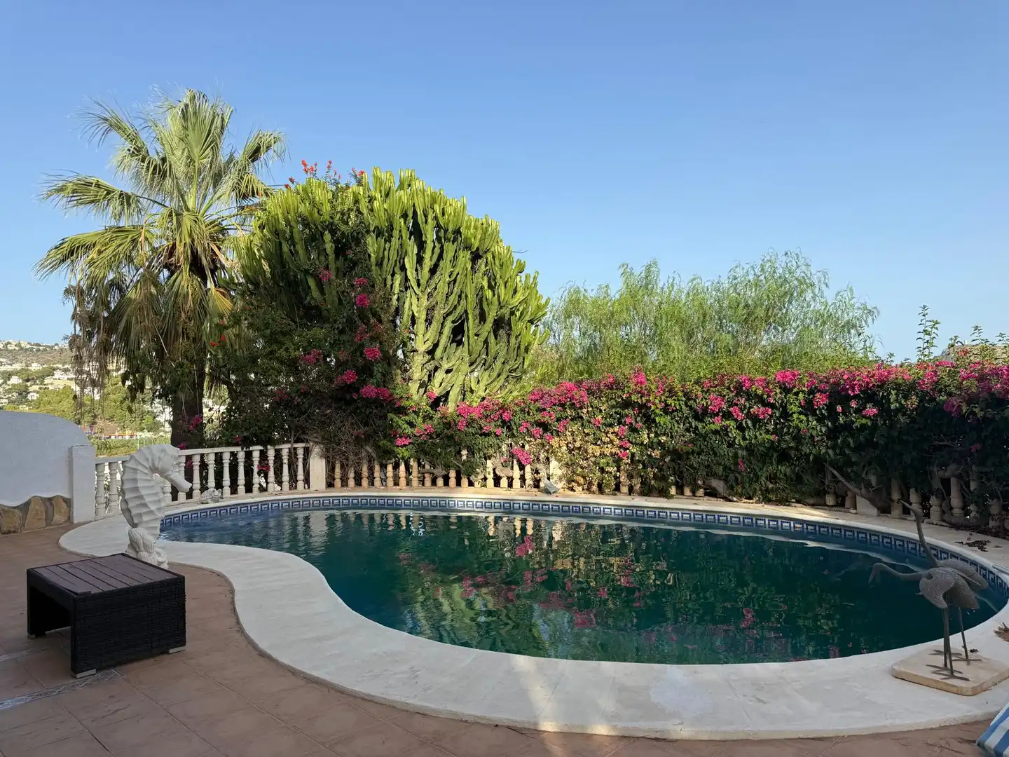 Swimming pool of Houses for sale in Benimeit - Tabaira