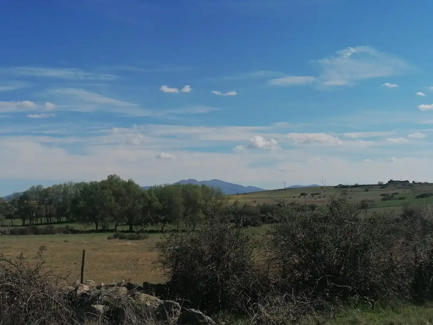 Terreni e lotti in vendita a Espirdo