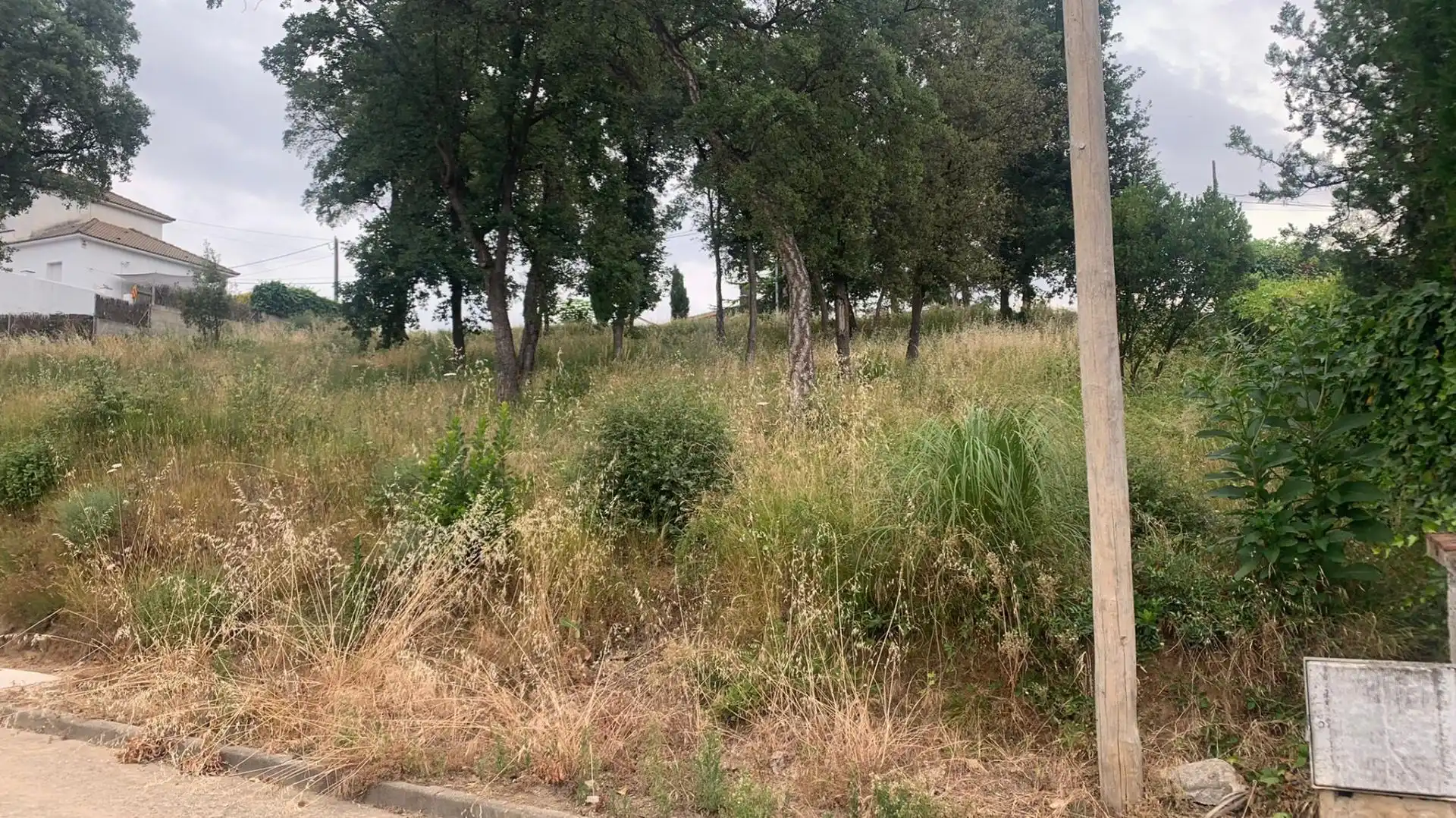 Terreny residencial en venda a Riells i Viabrea, imagen 5