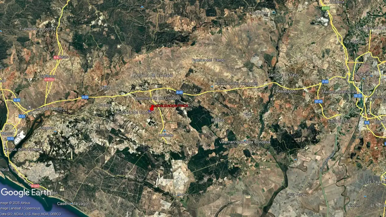 Rustikales Grundstück zum Verkauf in Bollullos Par del Condado, imagen 5