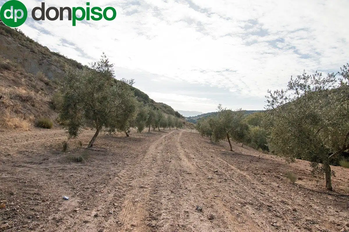 Casa rústica en venda a CORTIJO LA BARRAGANA, imagen 19