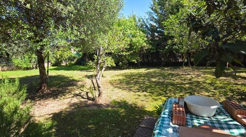 Foto 5 de Casa o xalet en venda a Pelagatos - Pago del Humo, Chiclana de la Frontera