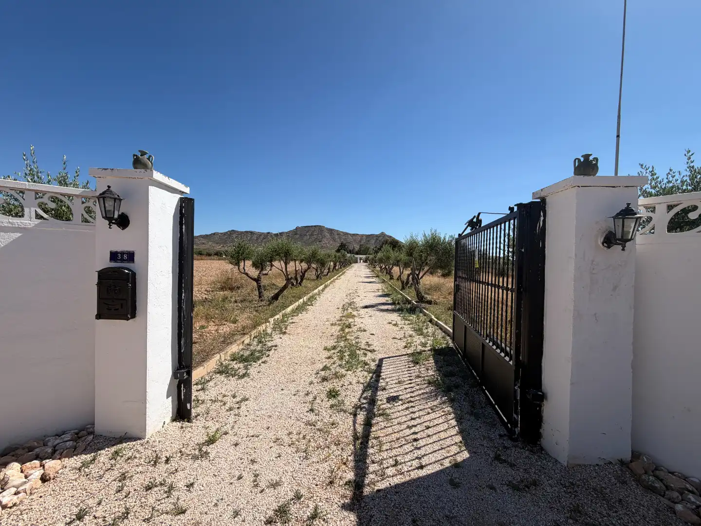 Vista exterior de Casa o xalet en venda en Aspe amb Aire condicionat, Calefacció i Jardí privat