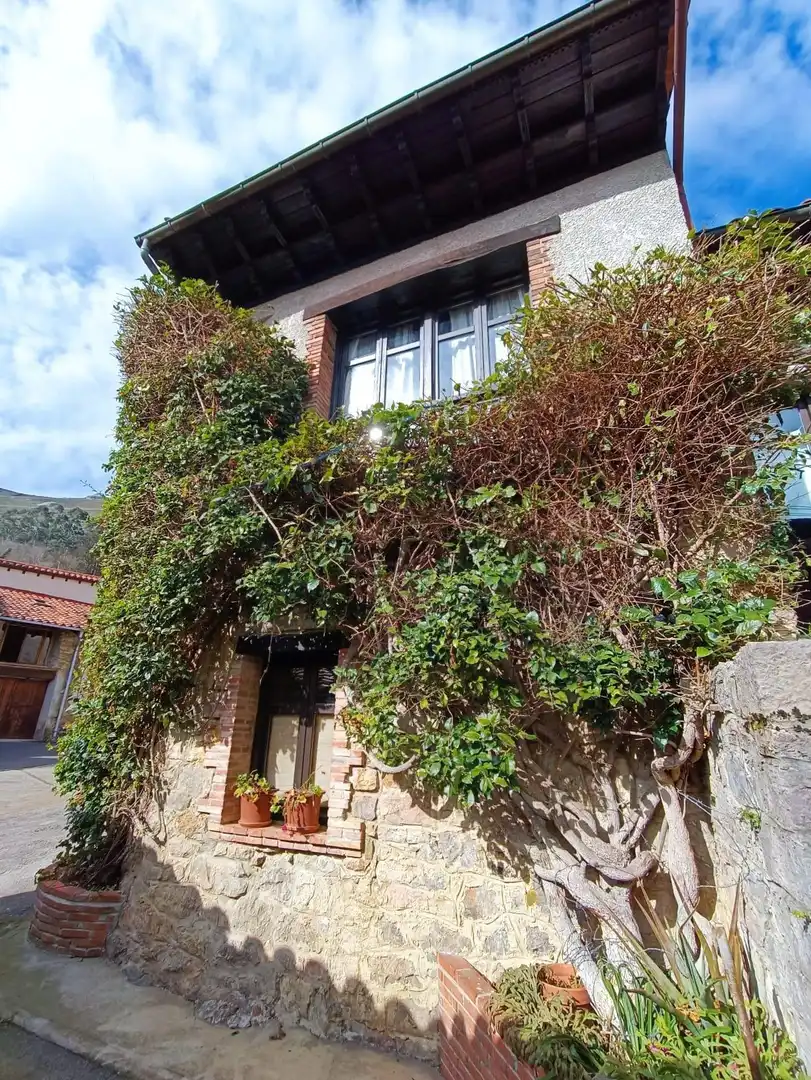 Exterior view of Country homes for sale in Peñamellera Baja  with Heating, Private garden and Terrace