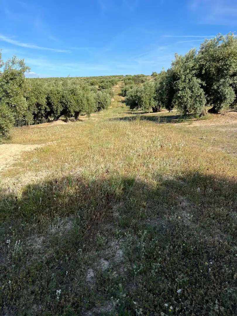 Terrenys i solars en venda a Fuente-Tójar, imagen 2