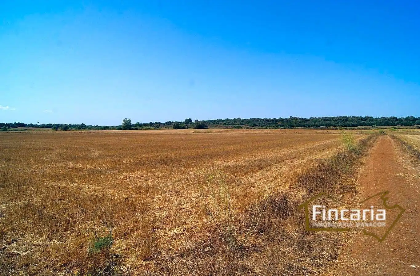Residencial en venta en Vilafranca de Bonany