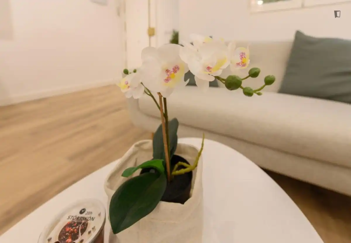 Apartament de lloguer a Chopera