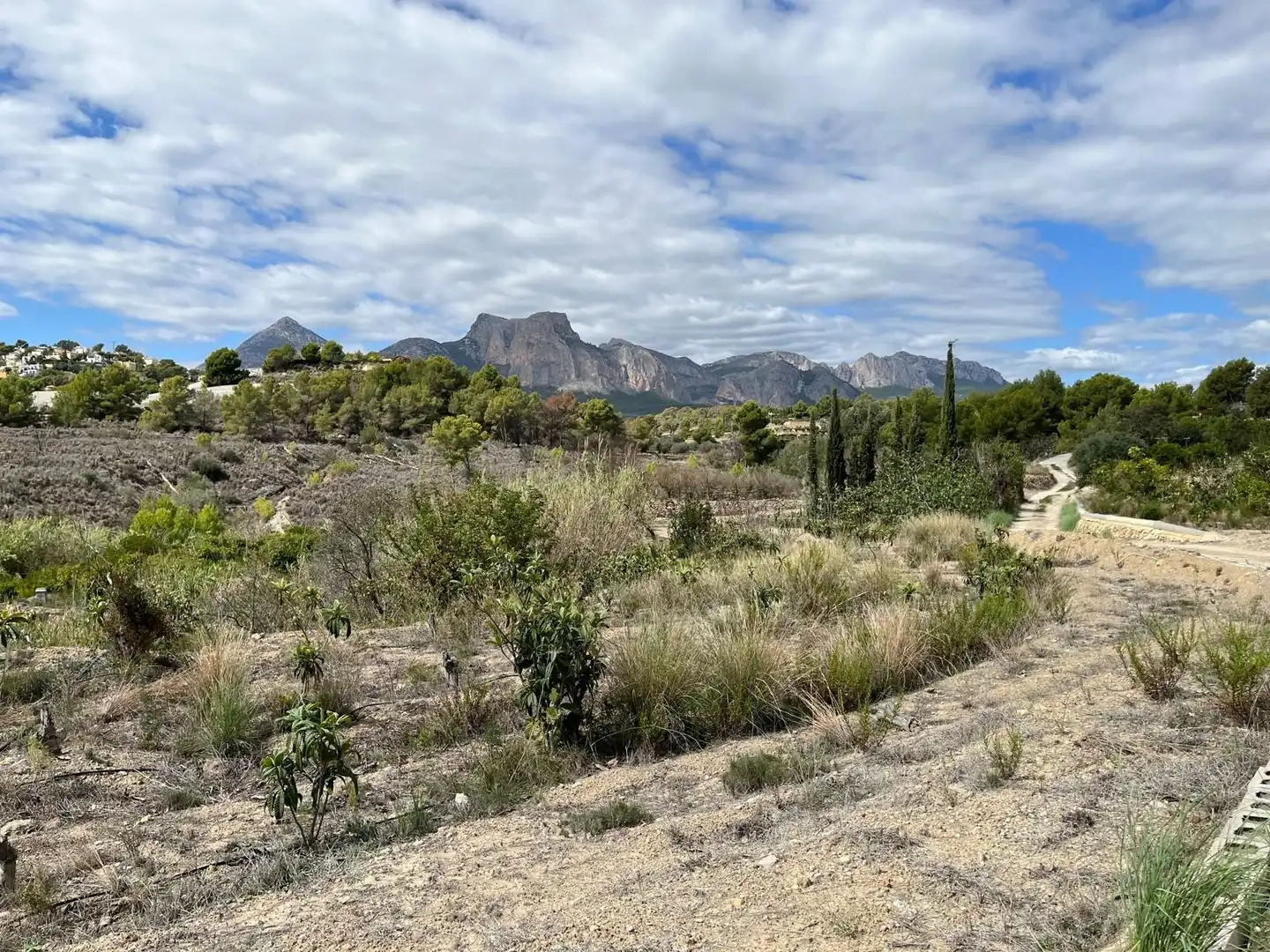 Terrenys i solars en venda a El Tossal - Bello Horizonte, imagen 7