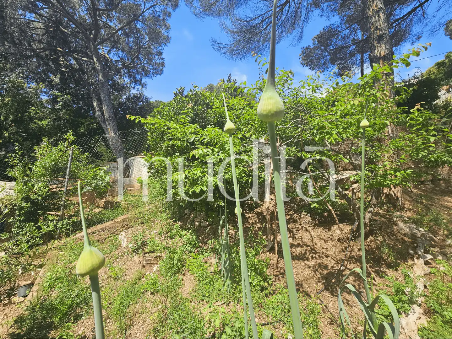 Terreno residencial en venta en Joan Maragall i Gorina, imagen 14