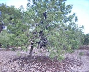 Country house for sale in Sant Carles de la Ràpita