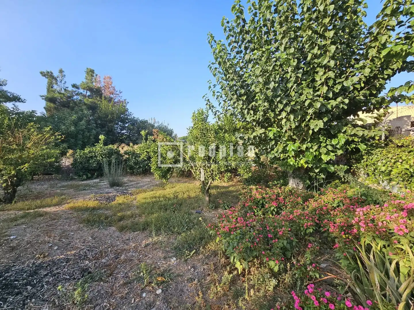 House for sale in Carril la Romera, imagen 2