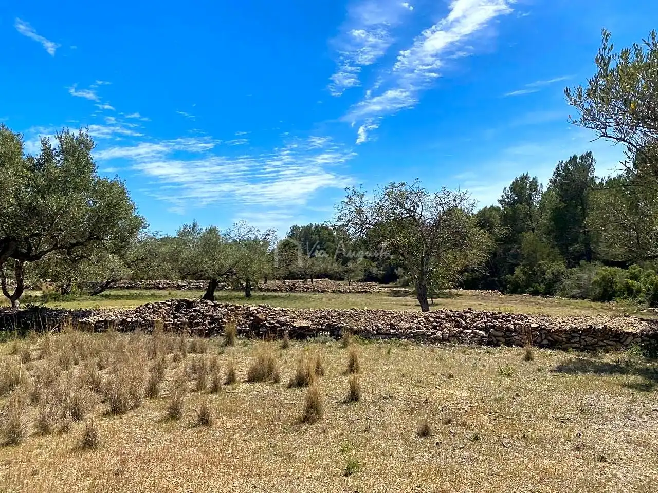 Terreno rustico in vendita a Mas de Baralluga, imagen 23