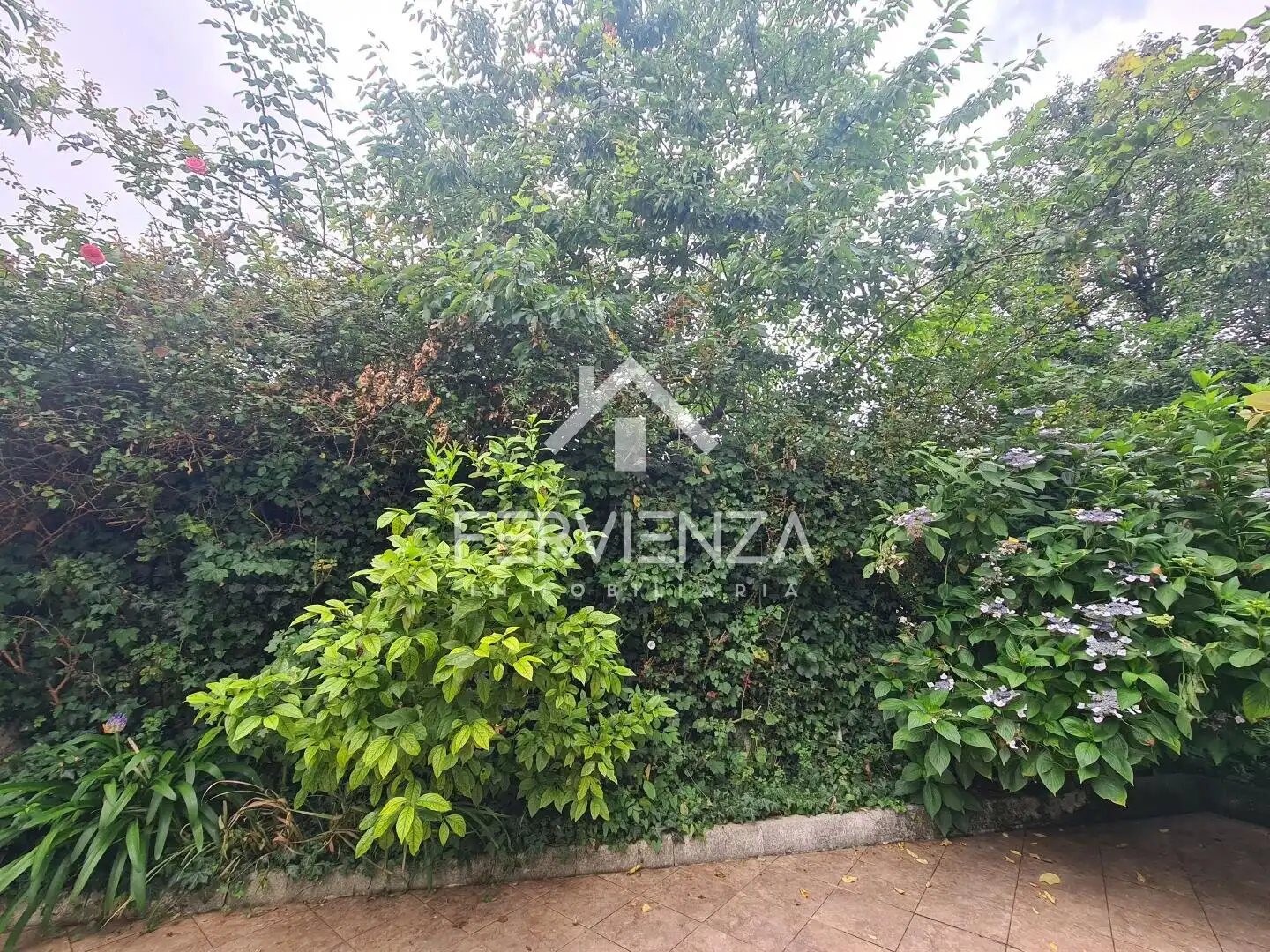 Casa o chalet en venta en Oviedo 
