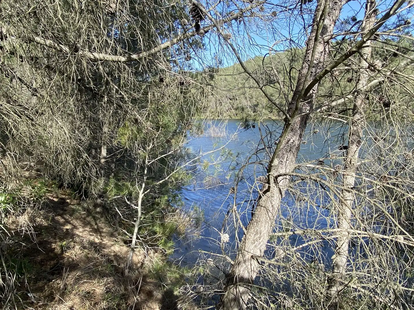 Residential land for sale in Els Guiamets, imagen 23