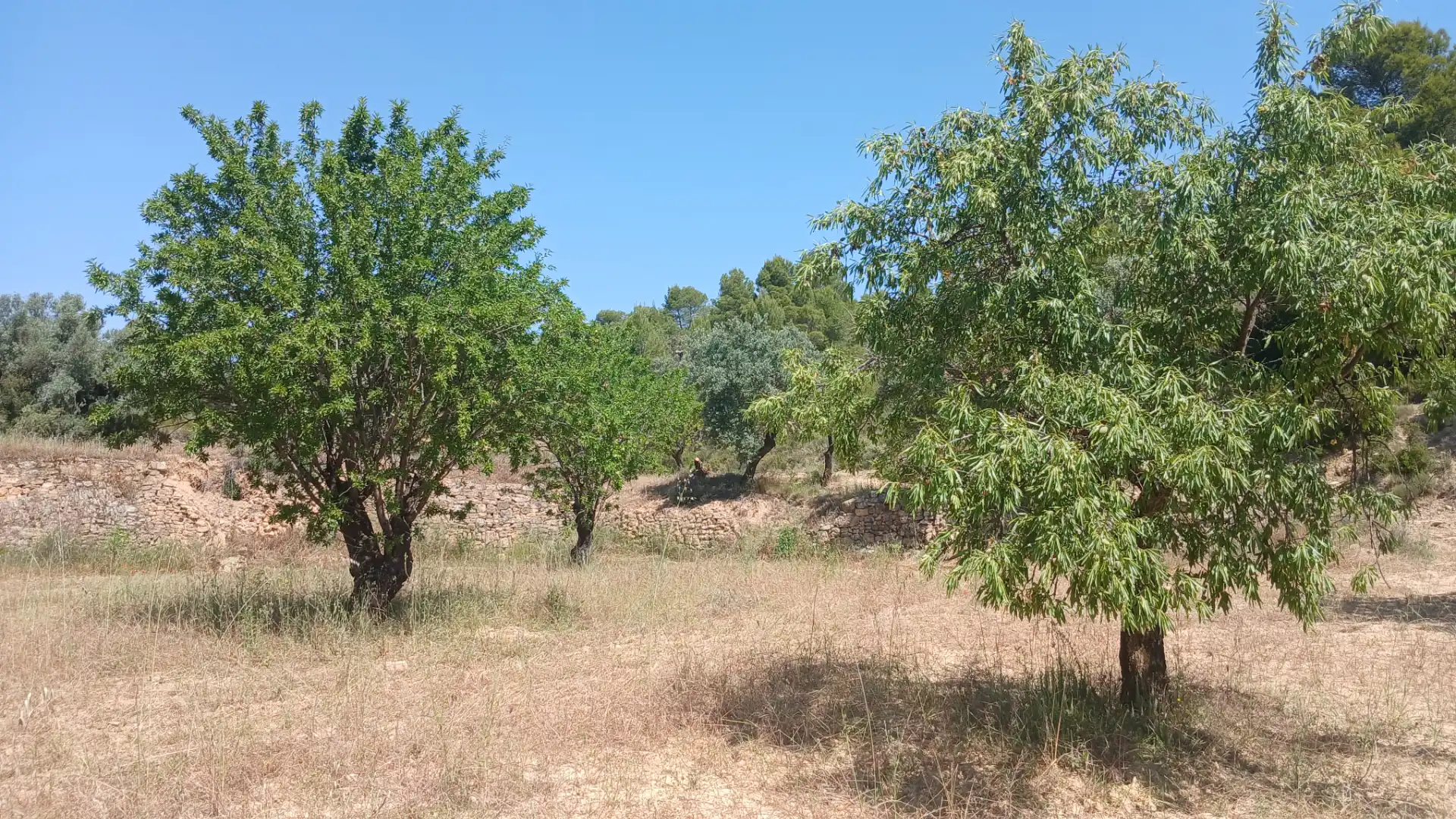 Terreno rustico in vendita a N/A, imagen 8