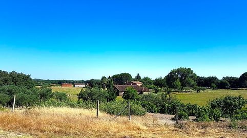 Foto 2 de Finca rústica en venta en Madrigal de la Vera, 1, Candeleda, Ávila