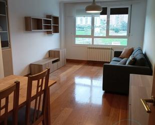 Living room of Flat to rent in Santander