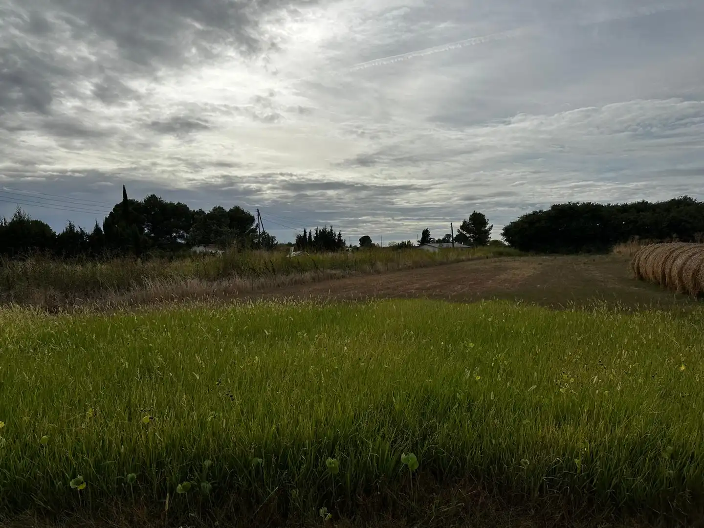 Land for sale in Albatàrrec