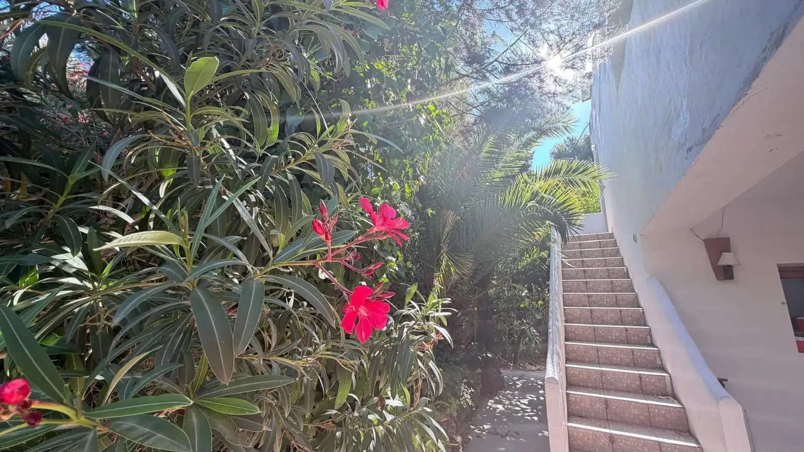 Exterior view of Houses for sale in Sant Josep de sa Talaia  with Private garden and Swimming Pool
