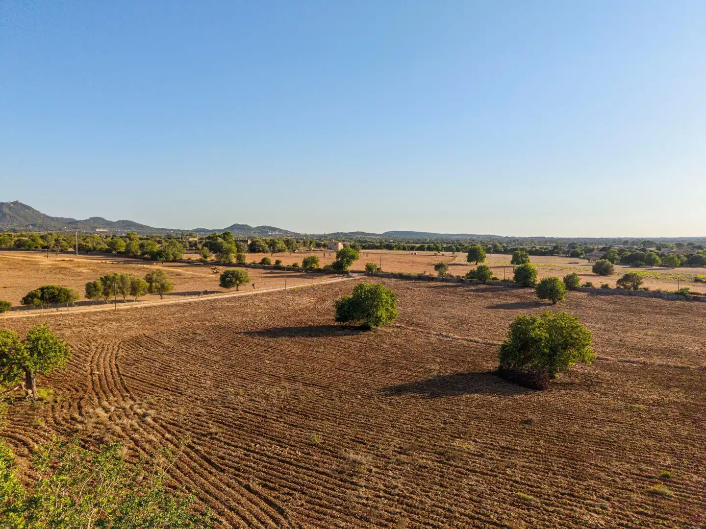 Grundstücke und Bauplätze zum Verkauf in Polígono POLIGONO 24, parcela 1006, imagen 42