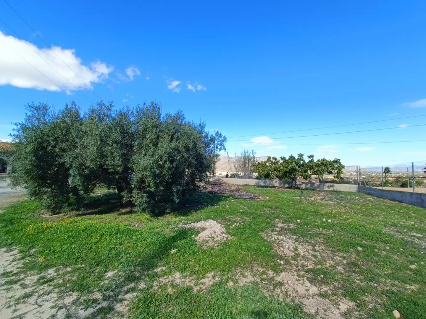 Villa in vendita a Hondón de los Frailes, imagen 31