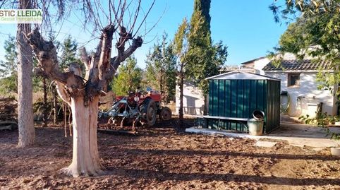 Finca de regadío con casita agrícola en los alrededores de Juneda.