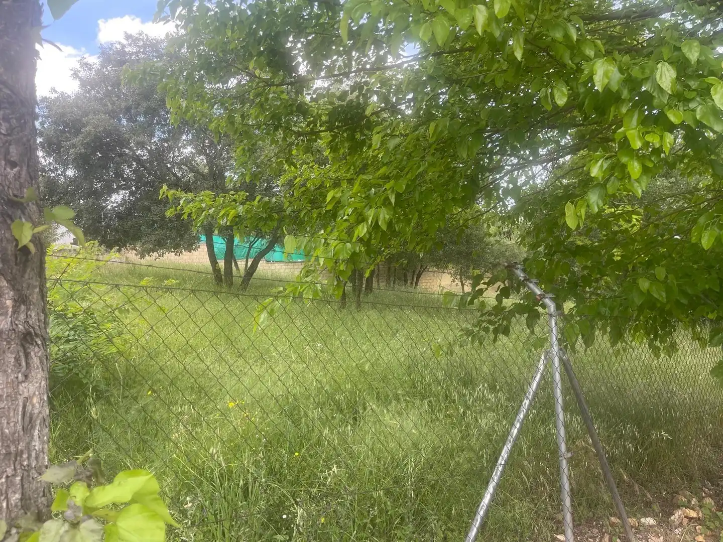 Terrain résidentiel à vendre à Calle ALAMO, imagen 9
