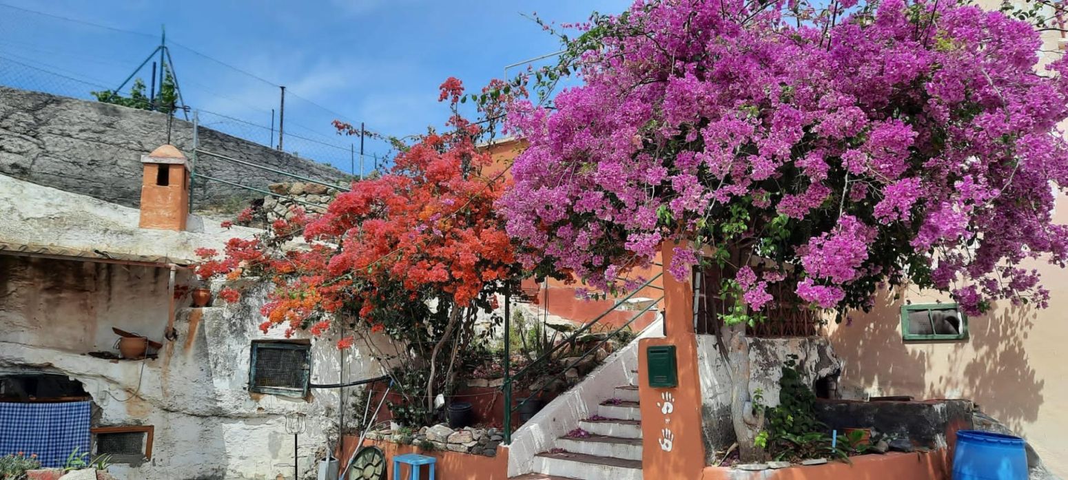 House or chalet for sale in Güímar - Camino Chacona Arriba, El Escobonal - Pájara