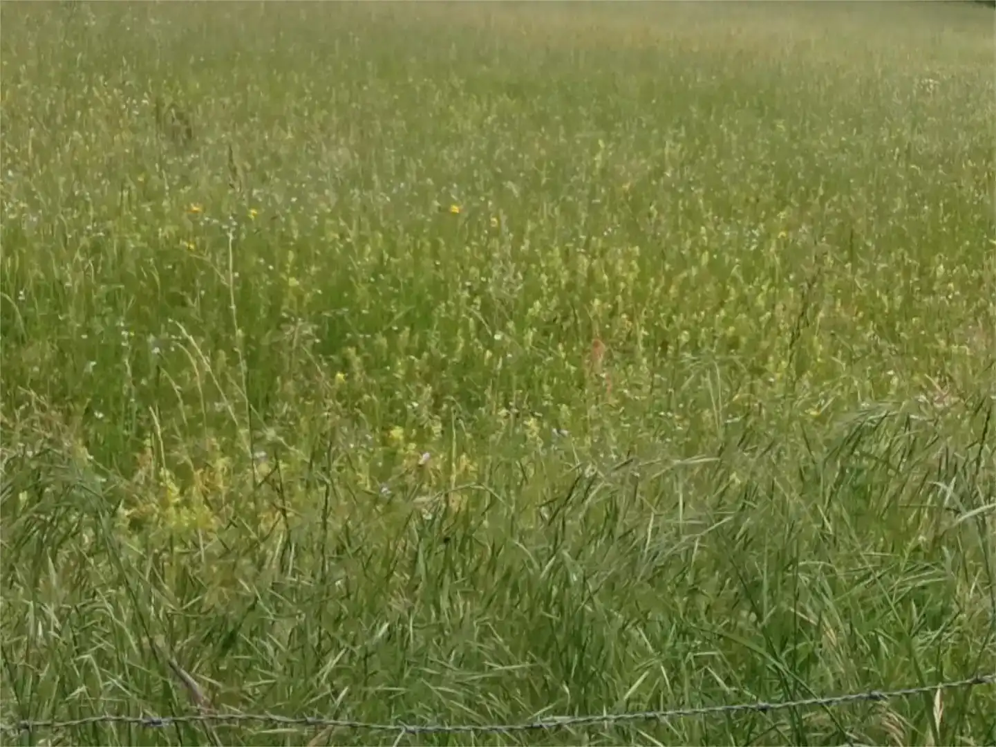 Terreno en venta en Bakaiku, Navarra
