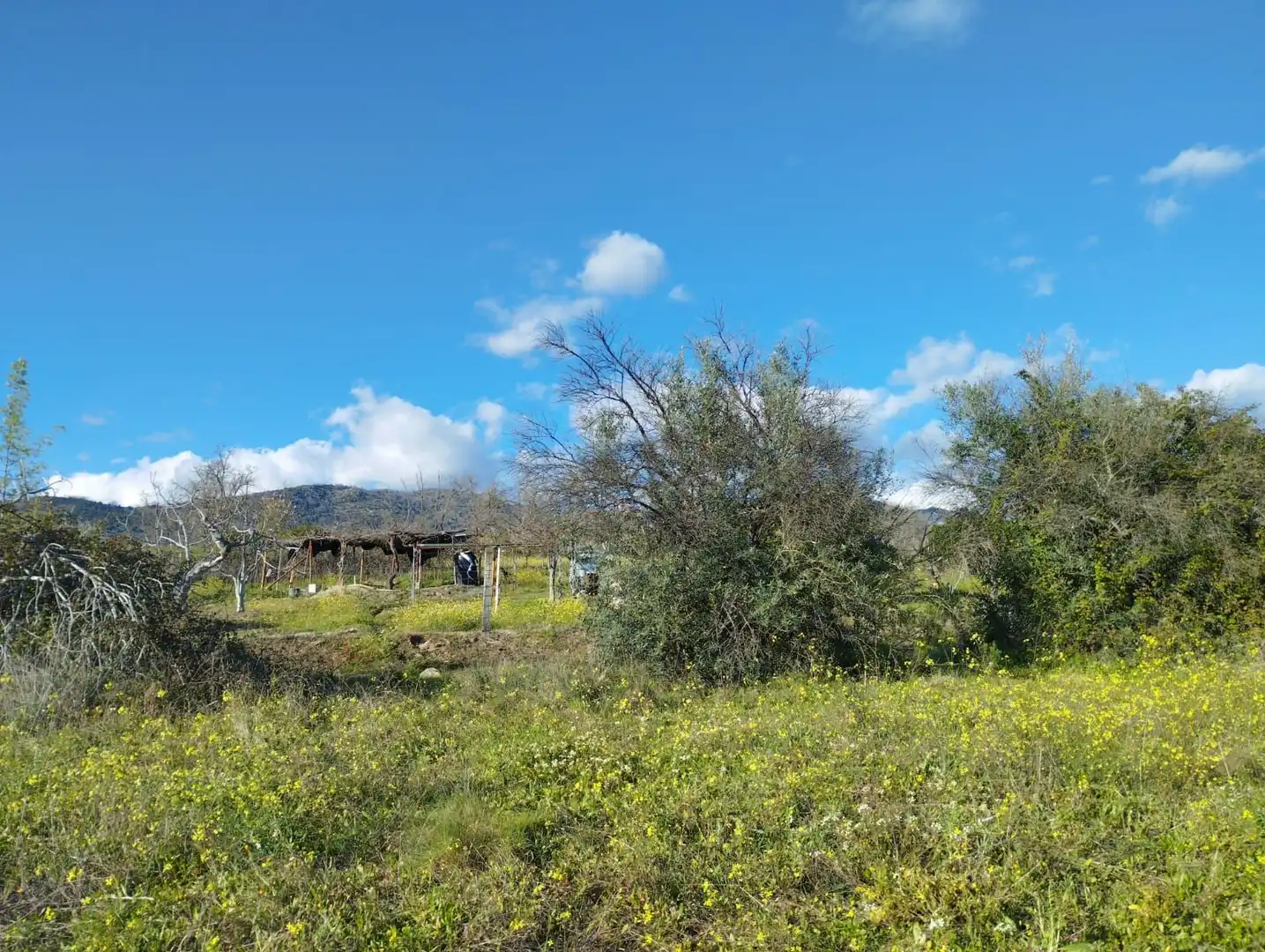 Terreni e lotti in vendita a Viandar de la Vera, imagen 18