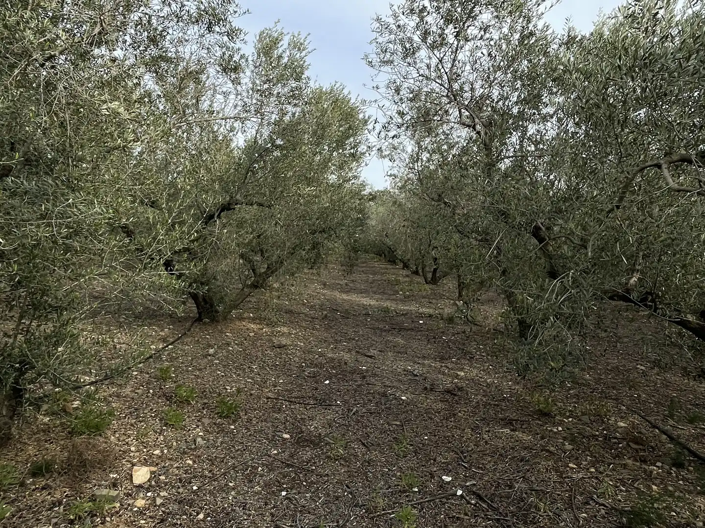 Land for sale in Cambrils