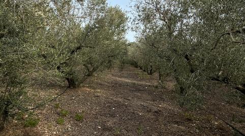 Photo 4 of Land for sale in E-15, 267, Tarraco, Tarragona