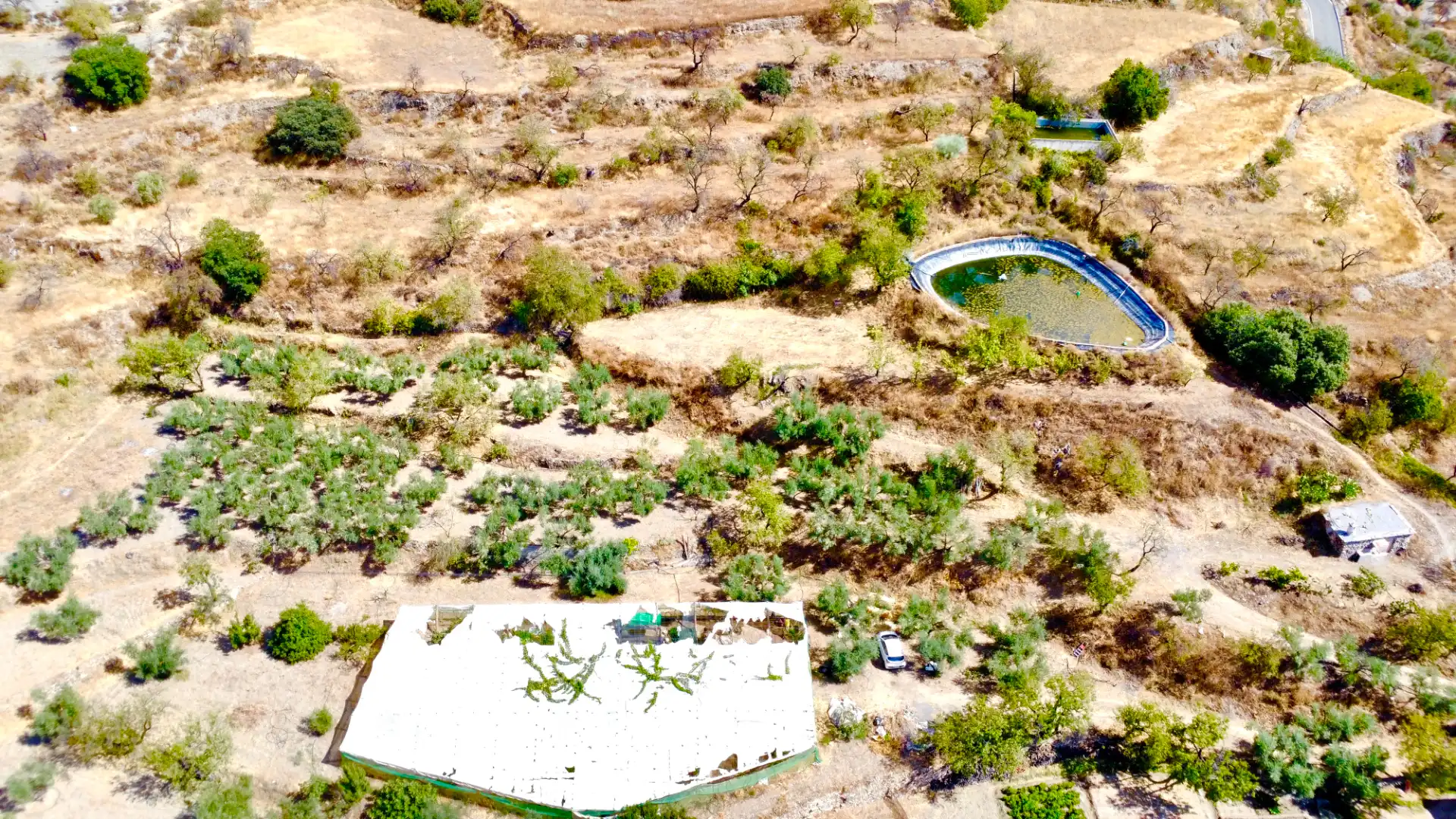 Terreno rustico in vendita a N/A, imagen 16