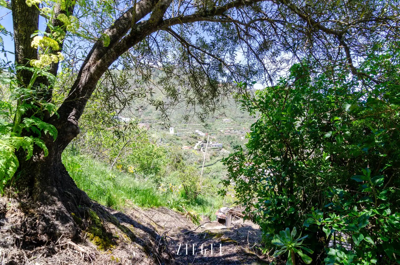 Exterior view of Houses for sale in Vega de San Mateo  with Private garden, Terrace and Storage room