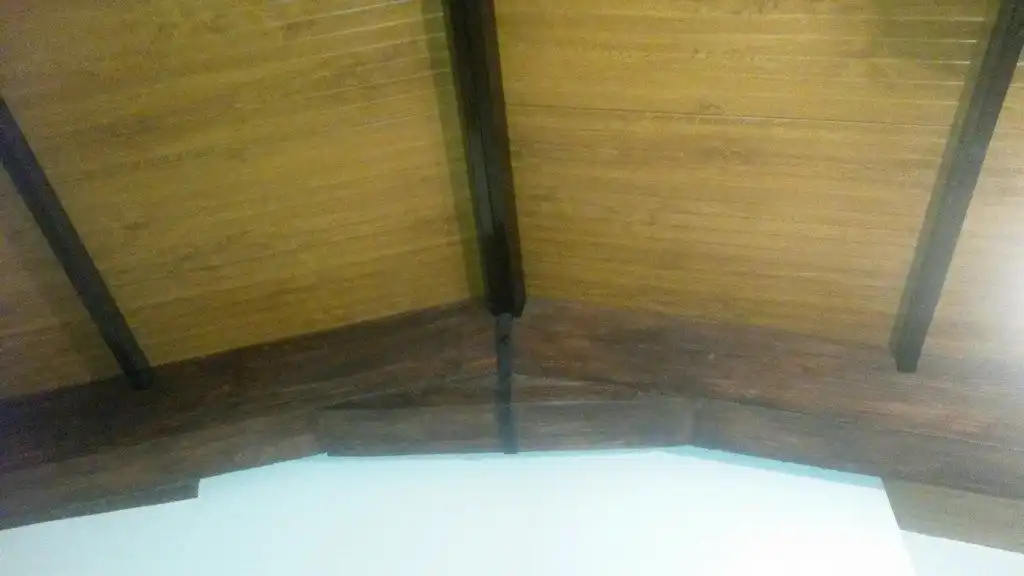 Haus zum Verkauf in Arenales de San Gregorio, imagen 18