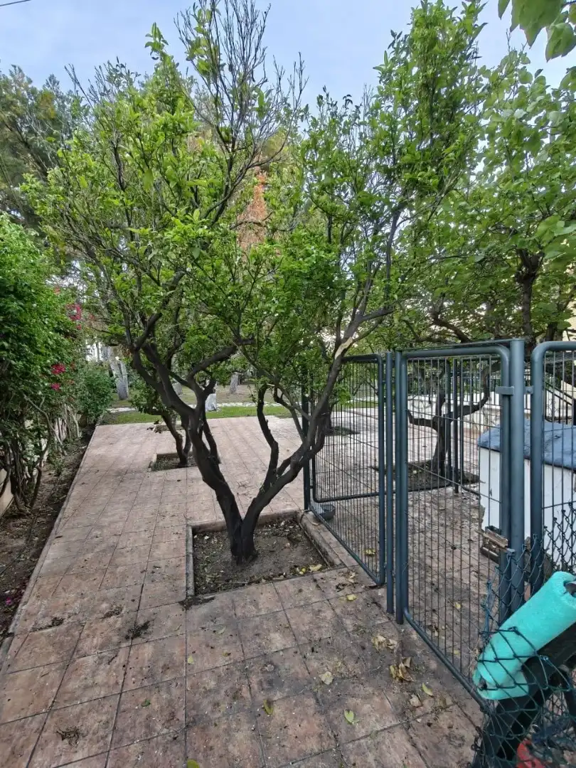 Jardín de Casa o chalet de alquiler en San Vicente del Raspeig / Sant Vicent del Raspeig con Aire acondicionado, Calefacción y Jardín privado