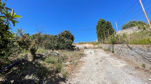 SalobreñaFinca Rustica, imagen 2