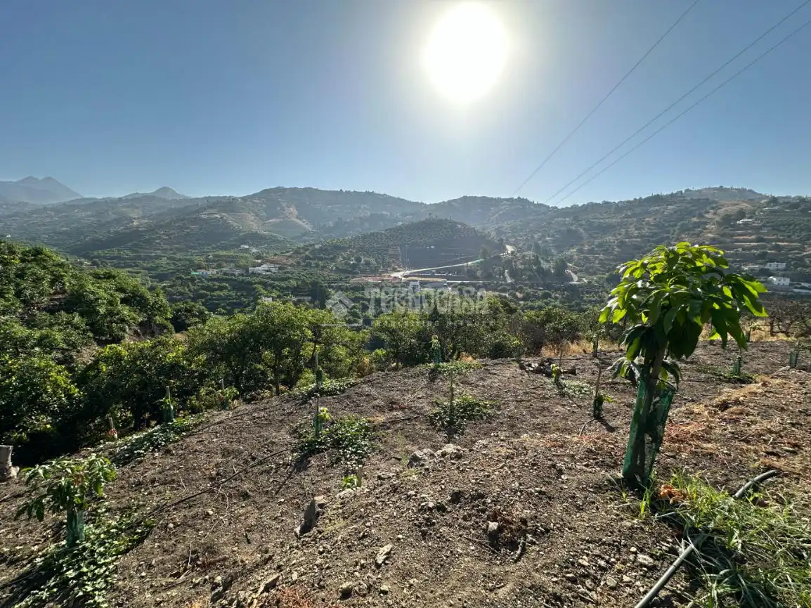 Terreni e lotti in vendita a Torrox Pueblo, imagen 2